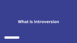 what is introversion